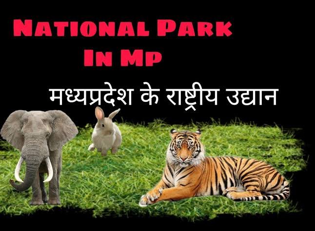 टाइगर स्टेट में जंगल के Raja  से मुलाकात का मौका, बुकिंग खुली