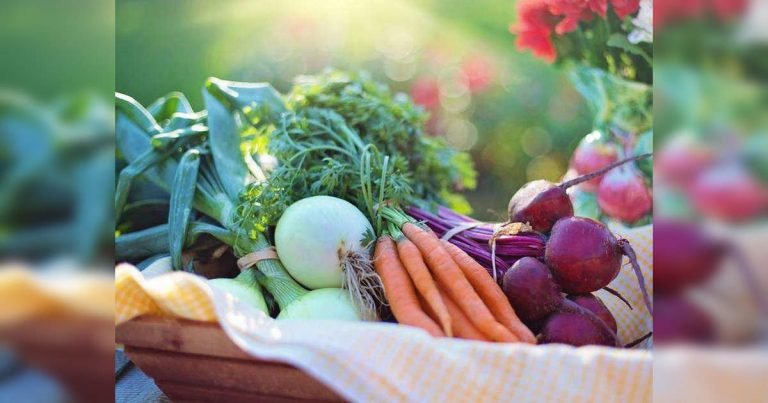 High Carb food ke fayde: जानें क्या हैं सुपरकार्ब्स फूड और इनके फायदे