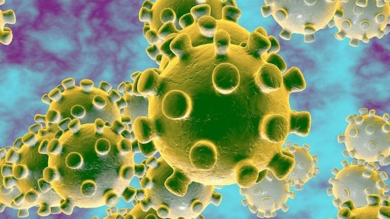 WHO gave new name to corona virus, know here what to say now | कोरोना वायरस को WHO ने दिया नया नाम, यहां जानें अब इसे क्या कहेंगे