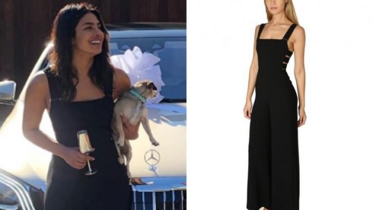 Priyanka Chopra Were A Costly Jumpsuit With Nick Jonas Read The Details Here | Expensive: प्रियंका चोपड़ा ने पहनी इस जमसूट की कीमत जानकर आपके होश उड़ जाएंगे, पढ़ें