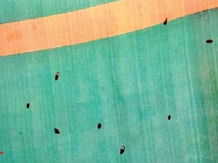 Chhattisgarh News In Hindi : Cockroaches at Bhilai District Hospital, Family of children getting worried | कुपोषित बीमार बच्चे पहुंच रहे अस्पताल, यहां कॉकरोच पैदा कर रहे नई समस्या