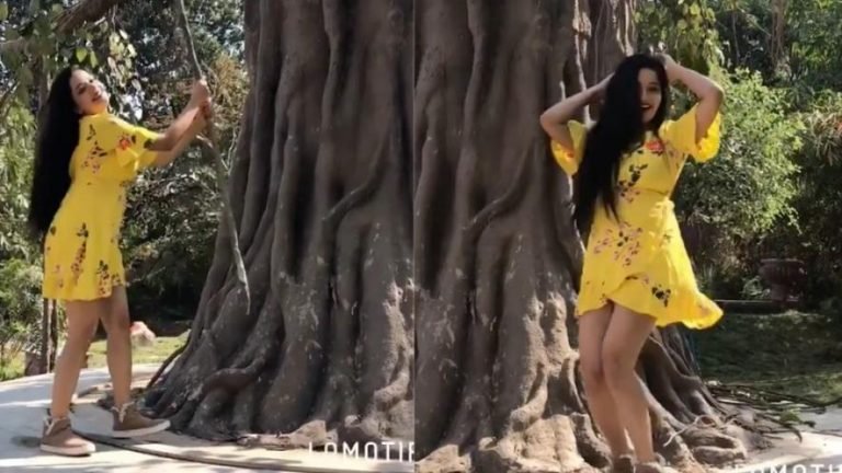 Nazar Fame Monalisa Hot Dance On Total Dhamaal Sonakshi Sinha Song Mungda Video Goes Viral | अरे ये क्या रोड पर सरेआम मोनालिसा लगाने लगी ‘मुंगड़ा’ गाने पर ठुमके, वीडियो हुआ Viral
