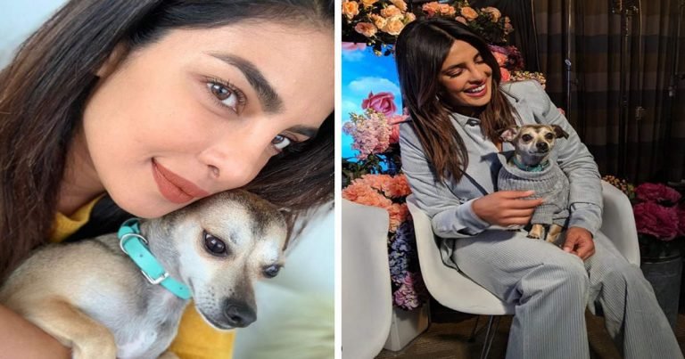 priyanka chopra dog diana expensive clothes: प्रियंका चोपड़ा की डॉगी का स्टाइल भी है हाई क्लास, पहनाए जाते हैं इतने महंगे कपड़े – priyanka chopra spends millions to keep her pet dog diana in style