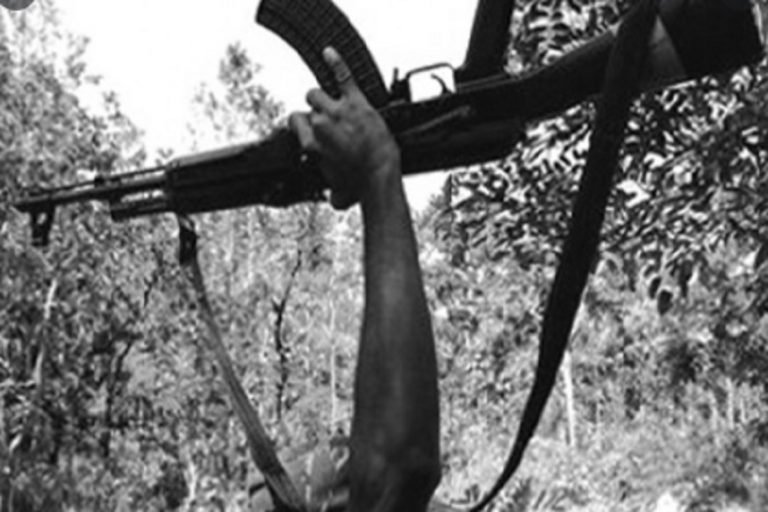 नक्सलियों ने कहा- Corona के चलते सीजफायर, नहीं करेंगे कोई हमला CPI (Maoist) has offered a unilateral ceasefire against security forces due to corona nodss | chhattisgarh – News in Hindi