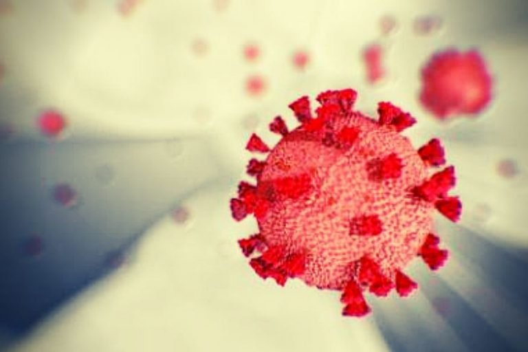 COVID-19: कोरबा में मिला कोरोना वायरस का दूसरा मरीज, स्वास्थ्य मंत्री ने ट्वीट कर दी जानकारी, COVID-19 latest update second patient of corona virus found in Korba Health Minister tweeted information | chhattisgarh – News in Hindi