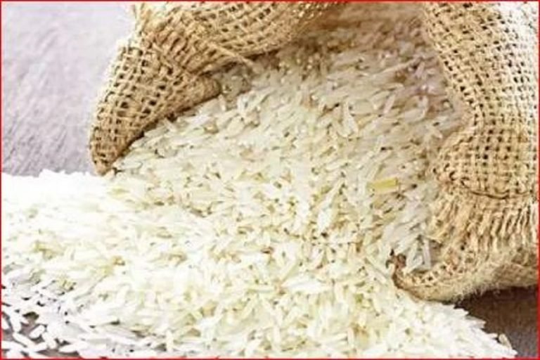 लॉकडाउन में छत्तीसगढ़ से दूसरे राज्यों में भेजा जा रहा चावल, बरती जा रही पूरी सावधानी|coronavirus supply of rice during lockdown from chhattisgarh to other states of india nodtg | raipur – News in Hindi
