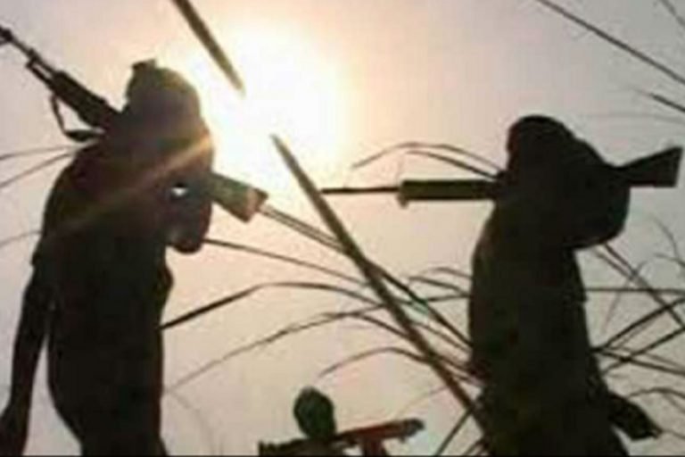 सलवा जुडूम में शामिल रहे पुलिस के सहायक आरक्षक की नक्सलियों ने की हत्या, जांच शुरू Naxals killed assistant police constable involved in Salwa Judum, investigation begins | bijapur – News in Hindi