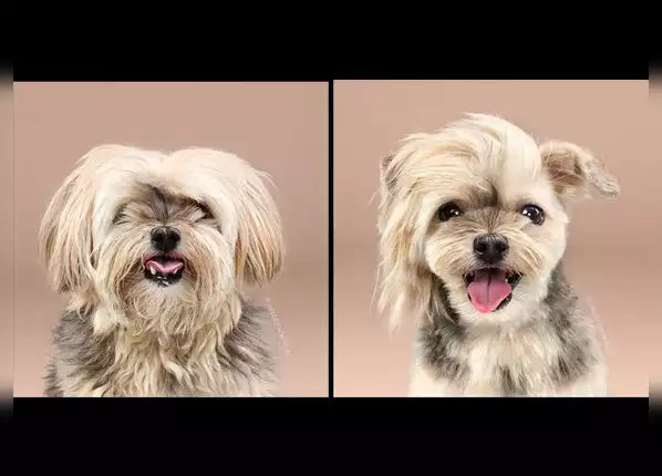 बस एक हेयरकट आपकी सूरत बदल सकता है