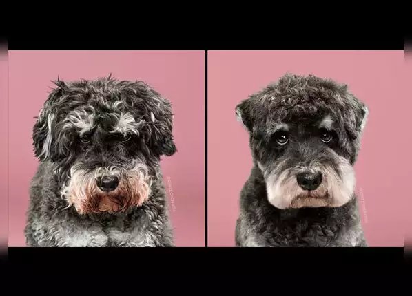 बस एक हेयरकट आपकी सूरत बदल सकता है