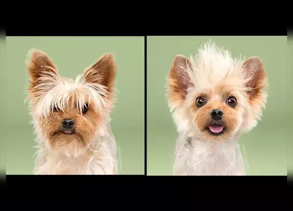 बस एक हेयरकट आपकी सूरत बदल सकता है