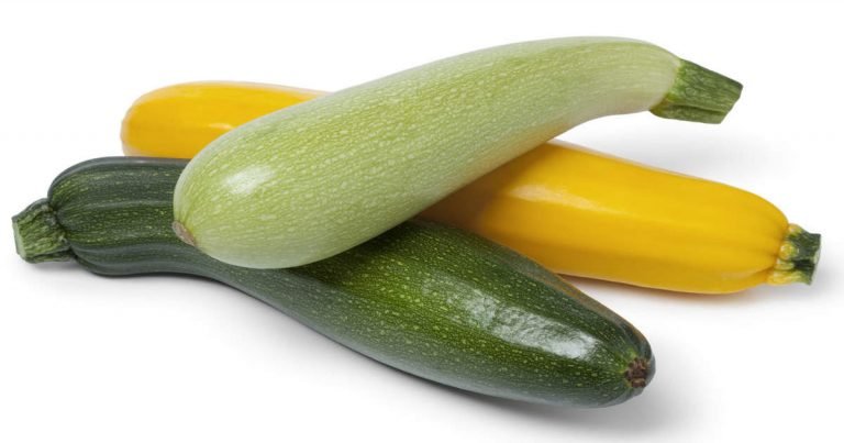 health benefits of zucchini: जुकिनी खाने के हैं इतने फायदे, गर्मियों में बनाएं डेली डायट का हिस्सा – health benefits of zucchini and tauri best vegetable get hydrate in summer in hindi