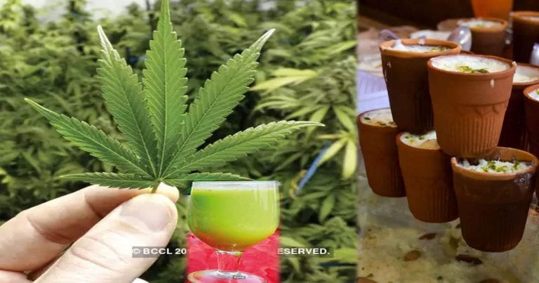 benefits of bhang: Benefits of Cannabis: भांग के फायदे बनाते हैं लोगों को दीवाना, लत नहीं शौक चलेगा! – health benefits of cannabis or marijuana bhang peene ke fayade in hindi
