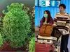 कोरोना वायरस कैसे फैलता है और किन्हें ज्यादा रिस्क है, जानें हर सवाल का जवाब 