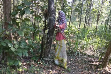 सुकमा: जंगलों में सुरक्षा बल के जवानों को देख बंदूक छोड़ भागे नक्सली, हथियार बरामद