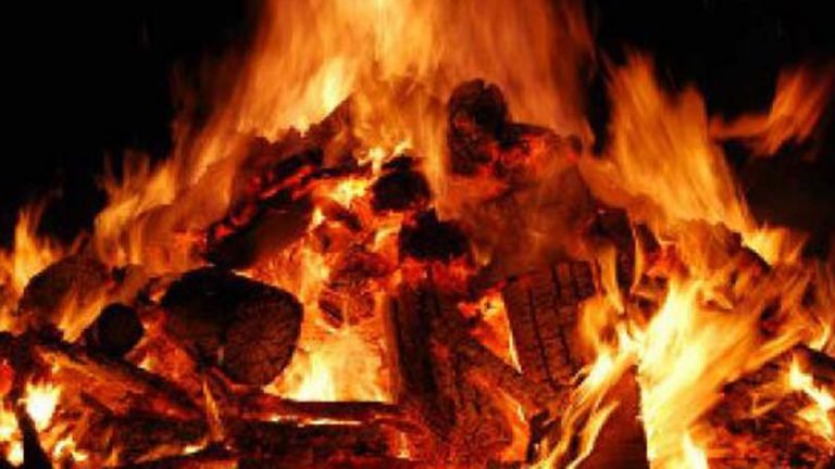 The funeral of hindu religious leader was broadcast live in South Africa amid Coronavirus COVID 19 crisis | COVID-19: दक्षिण अफ्रीका में हिंदू धार्मिक नेता के अंतिम संस्कार का हुआ सीधा प्रसारण