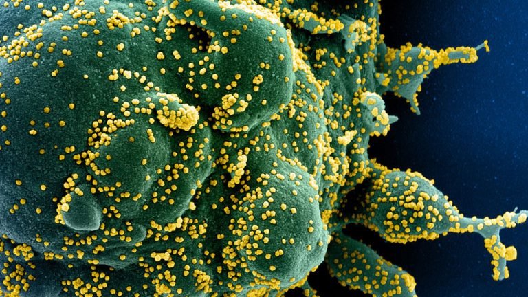 COVID-19: यूनाइटेड किंगडम में 102 साल की बुजुर्ग महिला ने कोरोना से जीती जंग