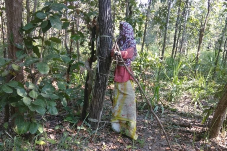 सुकमा: जंगलों में सुरक्षा बल के जवानों को देख बंदूक छोड़ भागे नक्सली, हथियार बरामद Sukma: Naxalites run away after seeing security forces in jungles, arms recovered | sukma – News in Hindi