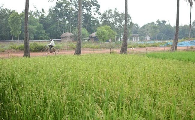 Due to lockdown, there was an impact on crop purchase of farmers in india – लॉकडाउन के कारण किसानों के फसल खरीद पर पड़ा असर, 2587 प्रमुख कृषि बाजारों में से 1091 बाजार में ही हो रही है खरीदारी