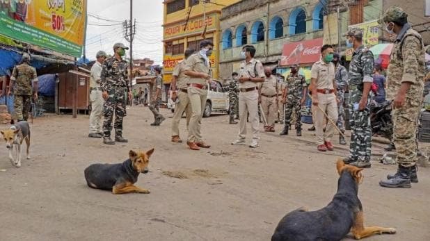 bengal_1587546518_618x347.jpeg