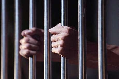 जशपुर में लॉकडाउन के दौरान संरक्षित पक्षियों का शिकार करने वाले 5 पकड़ाए