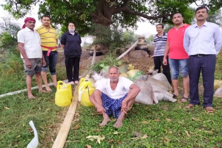 महासमुंद: लॉकडाउन में पुलिस की बड़ी कार्रवाई, 150 लीटर कच्ची शराब के साथ 2 गिरफ्तार, Major police action in lockdown 2 arrested with 150 liters of raw liquor crime news | mahasamund – News in Hindi