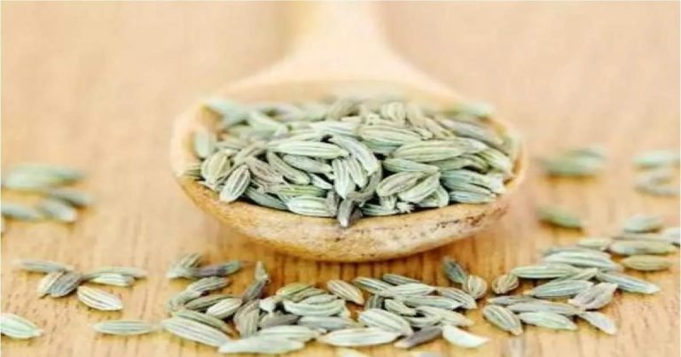 fennel seeds benefits for skin: सौंफ करेगी इन 4 स्किन प्रॉब्‍लम्‍स का सफाया, जानिए तरीका – different ways to use fennel seeds for skincare in hindi