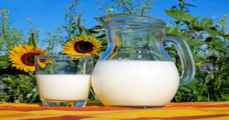 calcium rich food: Option Of Milk: दूध के ना पीनेवालों के लिए कैल्शियम के 5 वेज ऑप्शन – what to eat for calcium if do not like milk vegetarian options of milk