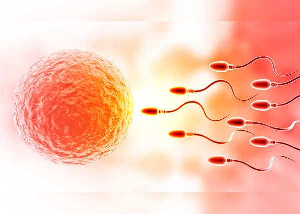 सेक्स के बाद स्पर्म लीक क्यों होता है?