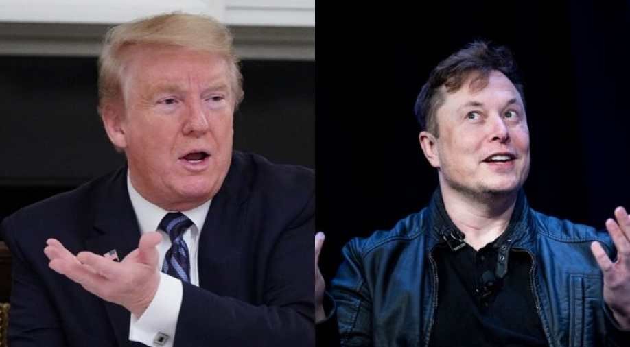 557743-trumpmusk.jpg
