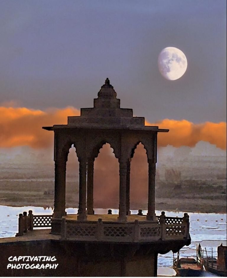 साँप से डरें नहीं,जहर की तिजारत करना सीख लें!