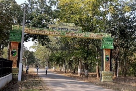 छत्तीसगढ़: जंगल में शिकारियों को पकड़ने गई टीम पर हमला, जान बचाकर भागा वन विभाग का अमला