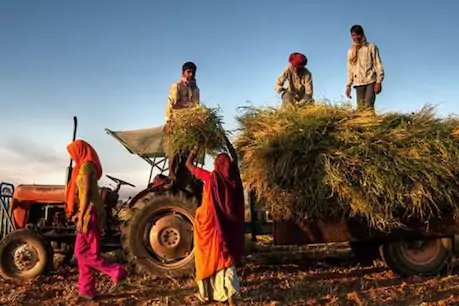 छत्तीसगढ़: 22 मई तक होगी धान खरीदी, टोकन वाले 4 लाख किसानों को ऐसे मिलेगा फायदा