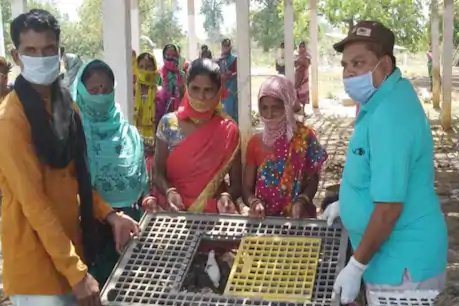 'नक्सलगढ़' में आत्मनिर्भर हो रही महिलाएं, कम खर्च में ऐसे कर रहीं ज्यादा कमाई