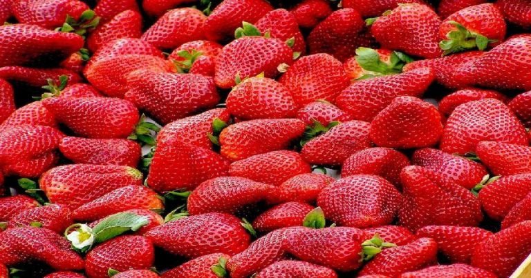 Strawberries khane ke fyde : benefits of eating strawberries for mens health