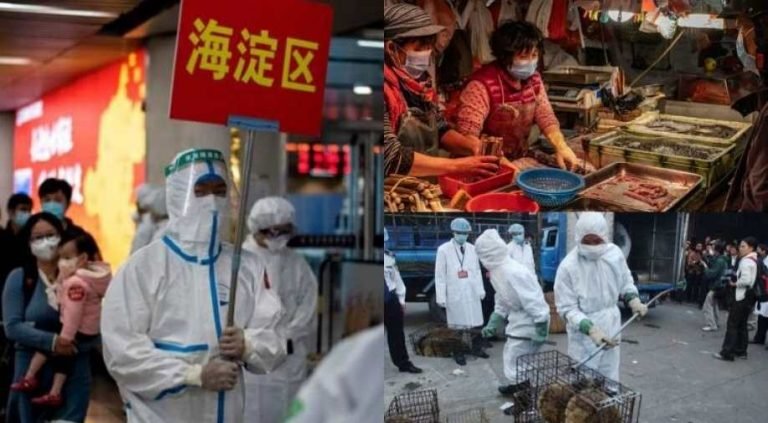 Chinese activists detained for publishing censored content set to face criminal trial | चीन की तानाशाही: कोरोना पर लेख प्रकाशित करने पर 2 महीने हिरासत में रखा, अब चलाएंगे आपराधिक मुकदमा