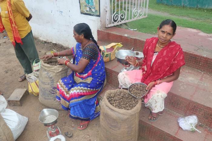 मानसून आते ही बाजार में आई सबसे महंगी सब्जी, खरीदने के लिए ढीली करनी होगी जेब | Know about the most expensive vegetable in the market Boda in Chhattisgarh