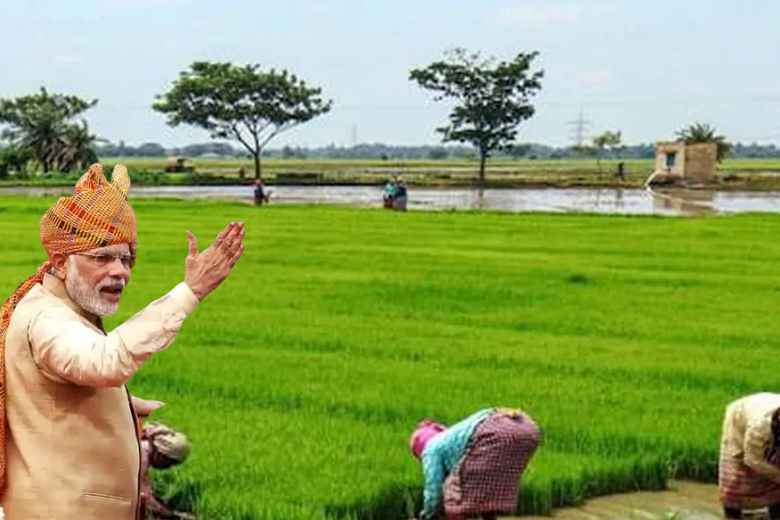PM kisan samman nidhi scheme, KCC, Kisan Credit Card, farmers news, Indias cheapest loan, agri loan, kcc form download, modi government, प्रधानमंत्री किसान सम्मान निधि योजना, केसीसी, किसान क्रेडिट कार्ड, किसानों की खबरें, भारत का सबसे सस्ता कर्ज, कृषि ऋण, केसीसी फॉर्म डाउनलोड, मोदी सरकार