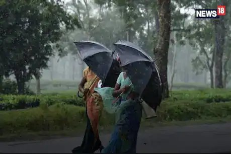 Weather Update: छत्तीसगढ़ में झूमकर बरसा मानसून, आज भी कई जिलों में होगी बारिश