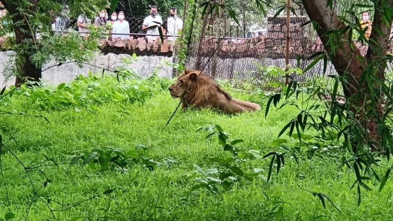 वन विहार में फिर शुरू हुई पर्यटकों की चहल-पहल