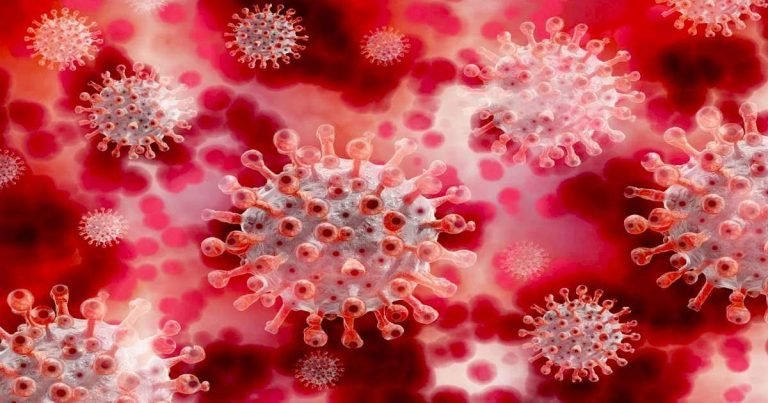 coronavirus latest update: Coronavirus Latest Update In India : 14 नहीं, बल्कि इतने दिनों तक शरीर में रह सकता है कोरोना वायरस का संक्रमण – covid 19 latest update task force member warns that coronavirus complete his cycle in 28 days not in 14