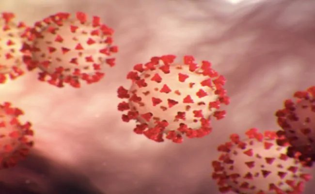coronavirus: झारखंड में तीन और लोगों की मौत, संक्रमण के सर्वाधिक 915 नये मामले आए सामने