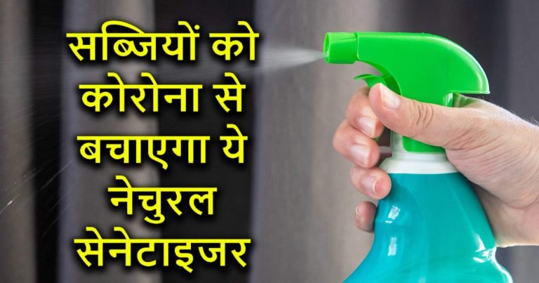 how to sanitize vegetables: Coronavirus (COVID-19) Prevention Tips : सब्जियों से कोरोना वायरस को दूर रखने के लिए इस्तेमाल करें यह होममेड सैनिटाइजर, जानें बनाने का तरीका – how to sanitize vegetables and fruits to prevent coronavirus and be safe from covid19