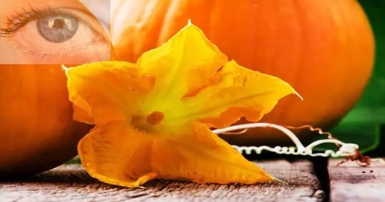 tips for healthy eyes: Vitamin-A Rich Foods: सेल फोन और लैपटॉप के उपयोग से कमजोर हो गई हैं आंखें तो रोज खाएं ये 5 फूड्स – five secret fruits to get vitamin a for healthy eyes in hindi
