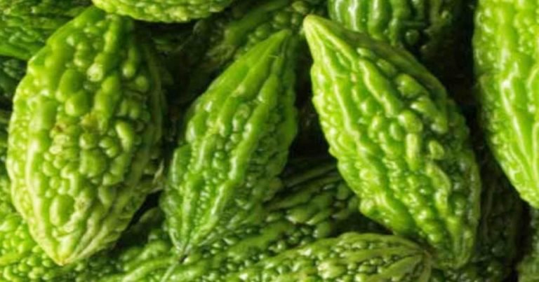health benefits of karela ki sabji: Health Benefits Of Bitter Gourd: इन 5 बीमारियों को दूर रखता है करेला, जिन्हें अक्सर दर्द रहता है वे डेली डायट में शामिल करें – health benefits of bitter gourd or karela is a natural pain killer in hindi