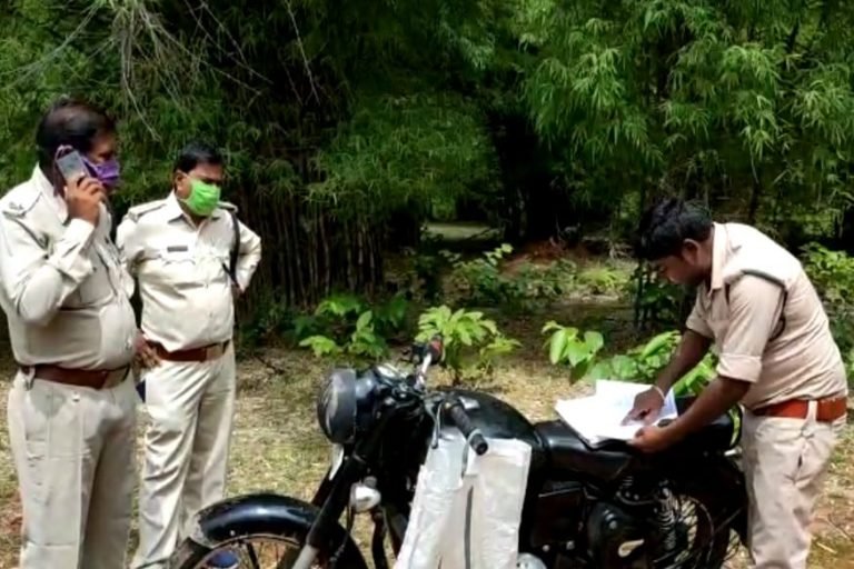 VIDEO: जंगल से बांस चुरा कर ले जा रहे थे वन अधिकारी, बीट गार्ड बोला- वर्दी उतरवा दूंगा | korba – News in Hindi