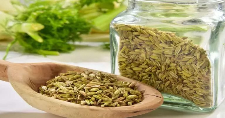 why we eat fennel seeds after meal: Fennel Seeds After Meal: खाने के बाद क्यों खाते हैं सौंफ और मिश्री, हैरान कर देगी थिअरी – health benefits of eating fennel seeds after meal in hindi