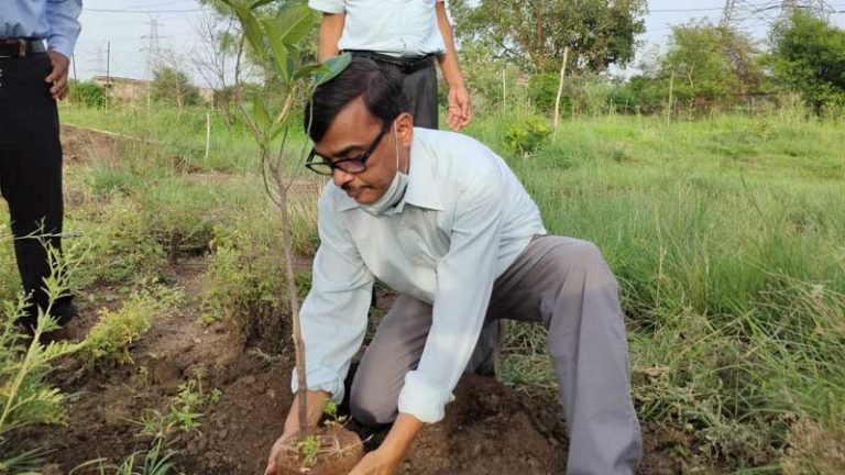सूखी सेवनिया में हुआ पौध-रोपण