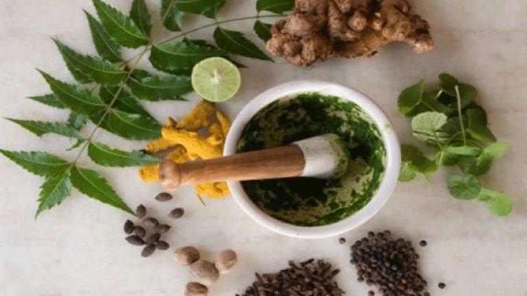 Clinical trials of ayurvedic medicines will begin in India, US to prevent Covid-19 | क्या आयुर्वेदिक दवाओं से हो सकता है कोरोना का इलाज? भारत के बाद अब अमेरिका भी शुरू करेगा ट्रायल