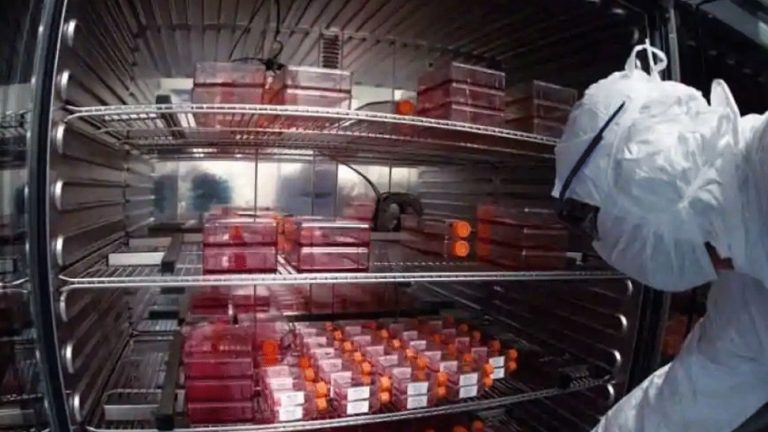 Russia secretly tested its coronavirus vaccine among the affluent as early as April | रूस ने आम लोगों के लिए नहीं ‘खास’ लोगों के लिए बनाई वैक्‍सीन