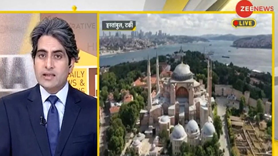 dna analysis celebrity cat of hagia sophia | DNA ANALYSIS: हाया सोफिया की ‘सेलिब्रिटी बिल्ली’